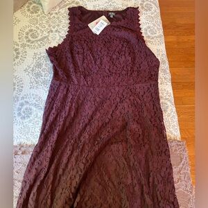 Lily Rose Lace Dress 2X